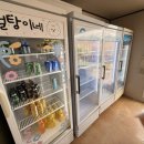 펫이좋아 | 횡성 반려견 동반 숙소 펜션 추천 위드펫빌리지 솔직후기