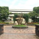 잠실 제1수영장 이미지