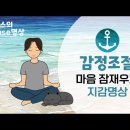 단월드 브레인명상으로 생각과 감정 조절 능력 키워보세요! 이미지