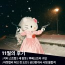 [11월] 패딩입어 패딩벗어 청기백기 11월의 후기