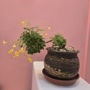 구월지구대 | [구월동 피부관리]LDM 관리는 벨르하에서! 구월동 피부과 못지않은 결과