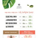 올가드림뷰티만현마을 이미지