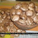 마륜농장 이미지