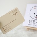 단풍이네 그루밍샵 이미지