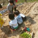 샬롬어린이집 이미지