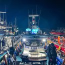 오천항 | 서해 갑오징어 선상낚시 오천항 출조 후기