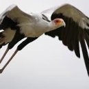 망우금호어울림(중랑숲금호어울림) 이미지