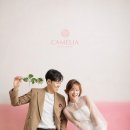 스튜디오까멜리아