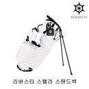 스텔라스타 네이버블로그
