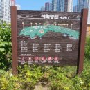 스타부동산공인중개사사무소 | 창원 팔용동부동산 팔용동벽산아파트 A단지 매매 / 스타필드 호재 품은 초록뷰 햇살 맛집