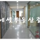 강남상가㉵ Daum카페