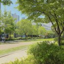 신촌숲아이파크 107동 어린이놀이터 | 내집마련 임장시리즈 - 마포구 신수동 신촌숲아이파크