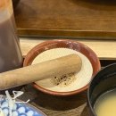 마이카츠공평점