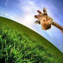 행복펜션 이미지