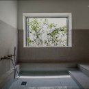 스테이 내내 이미지