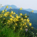 화명수목원 이미지