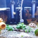 털보밧데리 이미지