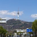 용산-107 | [스탠다드번] 용산맛집 용산역 땡땡거리 모카번 카페 모노톤 인테리어 고양이 컨셉 포장후기