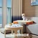 펫 프렌들리 호텔 이미지