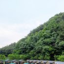 힐링하기좋은날 이미지