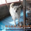 산곡로 피플워치