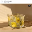 지크센트 이미지