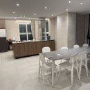 펜톤나인 이미지