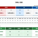 2023. 6.16 부산시 코로나19 현황 이미지