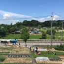 녹색농장 이미지