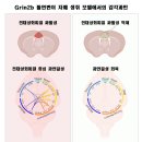 성화상회 네이버블로그