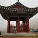 병서네 농장 네이버블로그