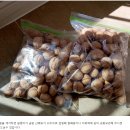 알굵고 고소하고 잘 빠지는 호두 50% 맛보기 이벤트 이미지