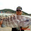 대부도바다낚시터 이미지