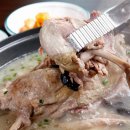 일지매가든 이미지