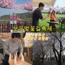 다누림센터 내 행사장 일원 | 보은벚꽃길 축제 무형유산체험 낙화장 목불조각장 야장 송로주 등 직접가본후기 보은 아이와 가볼만한 곳