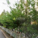 용산-296 이미지