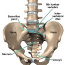 천장관절 검사(sacroiliac joint test) - 여만 검사(Yeoman's test) - 국제물리추나학회 이미지