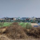 돌안말운동장 이미지