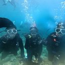 전송 | 진행] 오키나와 푸른동굴 보트 체험 다이빙 (사진촬영 전송 무료 / 후기 맛집! ) = 마이리얼트립 호캉스