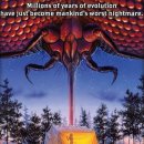 Team Corn Field 이미지