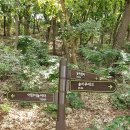 율하2지구_솔마루공원물놀이장 이미지