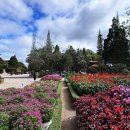 죽림가든 이미지