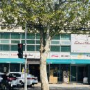 베이비플러스 대구점 이미지