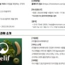 이룸 코퍼레이션