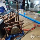 관평동 행정복지센터 이미지