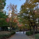 신나무실육교 이미지