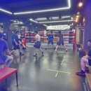 용인대SM복싱클럽 본관 이미지