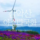 10월3일(개천절) 거창 출렁다리~감악산 이스타국화축제~산청한방축제 이미지