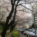 고속터미널앞 이미지