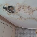 A132 | 하남시 덕풍동 누수탐지, 정말 믿을 수 있는 업체 찾는 법!